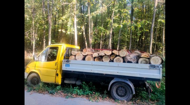 Amendat după ce a fost prins că transporta lemene fără documete