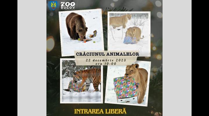 Crăciunul Animalelor se va organiza vineri/Intrarea este liberă