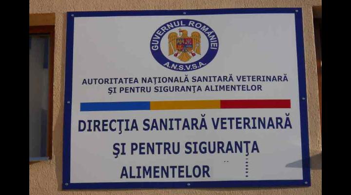 Aproape 150 de controale făcute de medicii sanitar veterinari