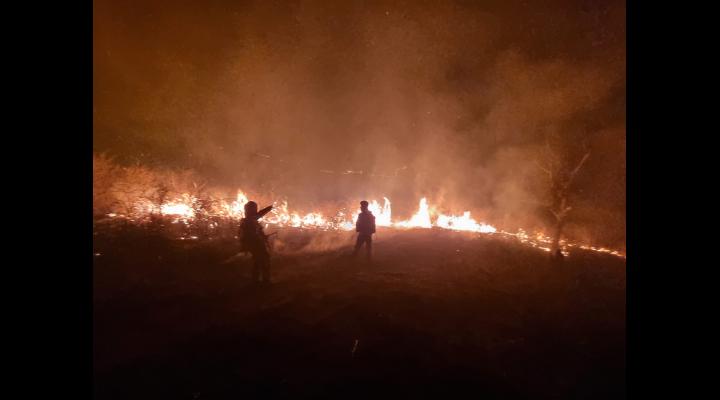 Incendii de vegetație uscată, în Prahova /Apelul ISU Prahova