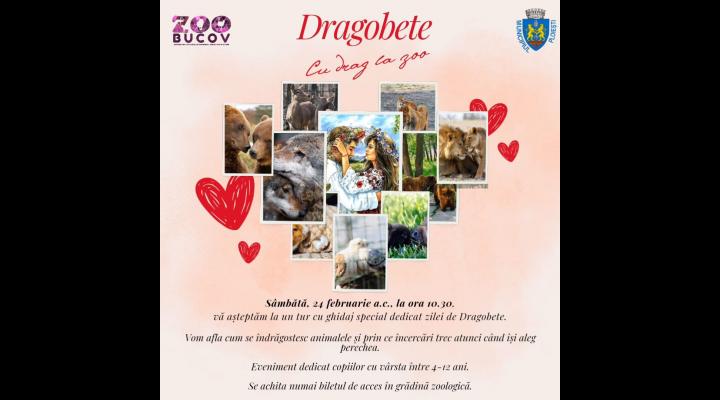 Eveniment special, organizat la Zoo Bucov, de Dragobete/Copilașii vor afla ce înseamnă dragostea la animale 