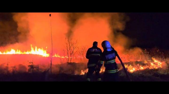 Incendiu de vegetație in apropierea Autostrăzii București  - Ploiești 