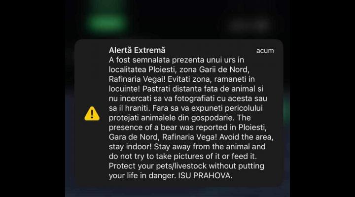 Un mesaj RoAlert a anuntat, noaptea trecuta, prezenta unui urs în Ploiesti 