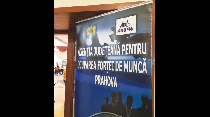 Anunț AJOFM PRAHOVA pentru absolvenţii de învățământ, promoţia 2024