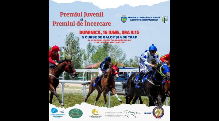 Reuniune cu 9 curse de trap şi galop, duminică, pe Hipodromul Ploieşti! Main event: Premiul de Încercare!