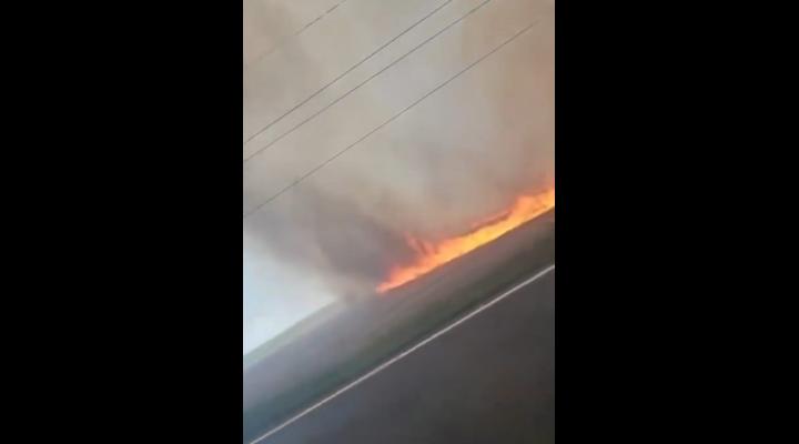 Incendiu de amploare pe un câmp din zona Băicoi,  în apropiere de DN1/ Trafic afectat 