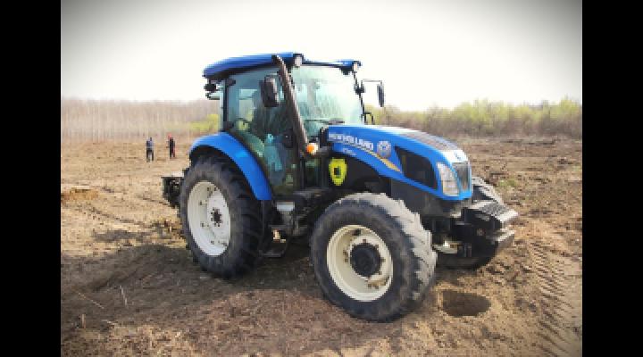 Romsilva a plantat circa 22 milioane de puieti forestieri in campania de impaduriri de primavara