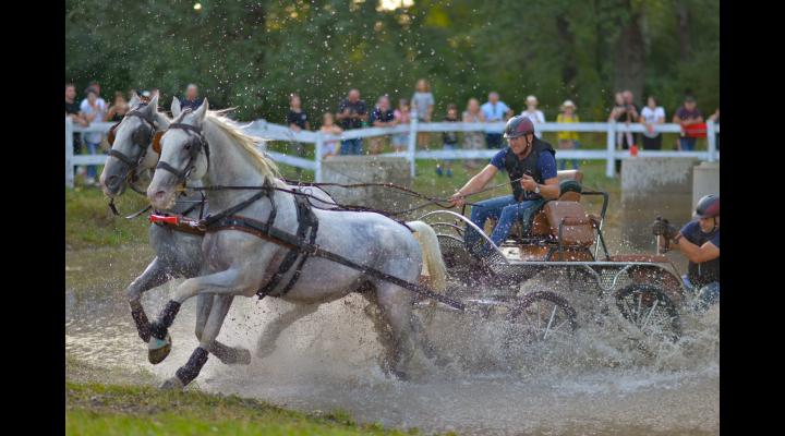 Programul complet al evenimentului ecvestru Karpatia Horse Show 