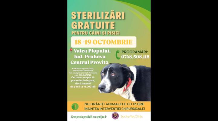 Sterilizări gratuite pentru câini și pisici,  în Valea Plopului 