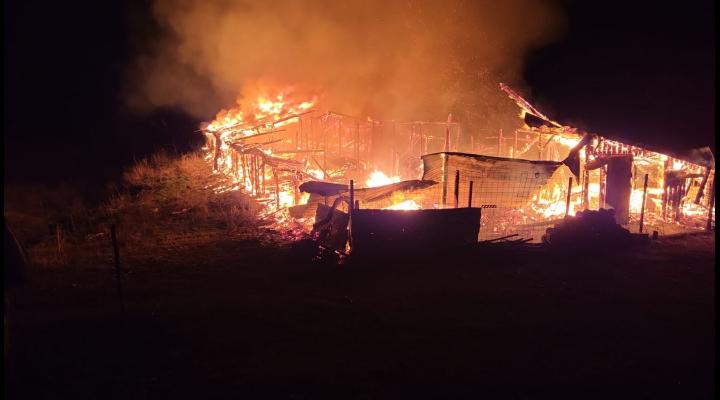 Incendiu izbucnit la un saivan, în Slănic-FOTO