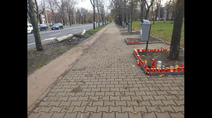 Precizari facute de Politia Prahova, in urma accidentului de pe Bulevardul Independentei