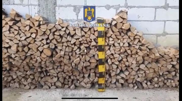 Percheziții la persoane bănuite de tăiere fără drept și furt de arbori din fondul forestier național