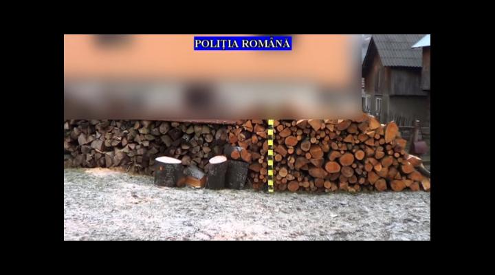 Se fac verificări în Prahova pentru depistarea celor care fură lemne - VIDEO