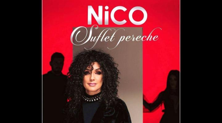 "Suflete pereche" - piesa noua de la Nico, in luna dragostei. Ascult-o aici! - VIDEO