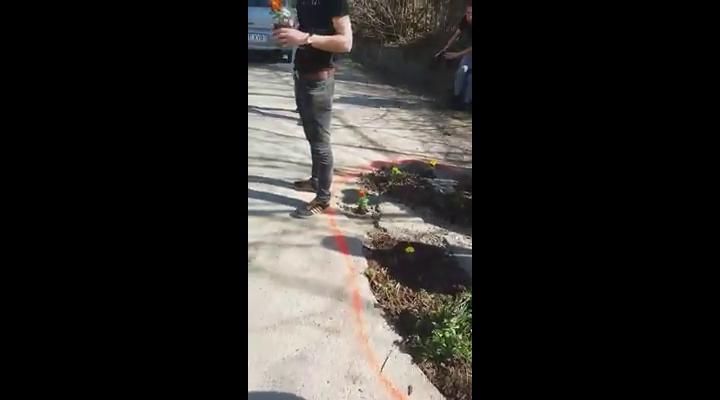 Gropile din asfalt astupate cu ....flori, intr-o comuna prahoveana - VIDEO