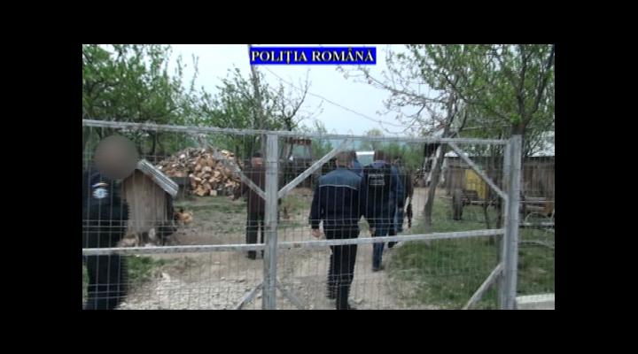 Descinderi la hotii de lemne, printre acestia fiind si padurari, in Prahova - VIDEO