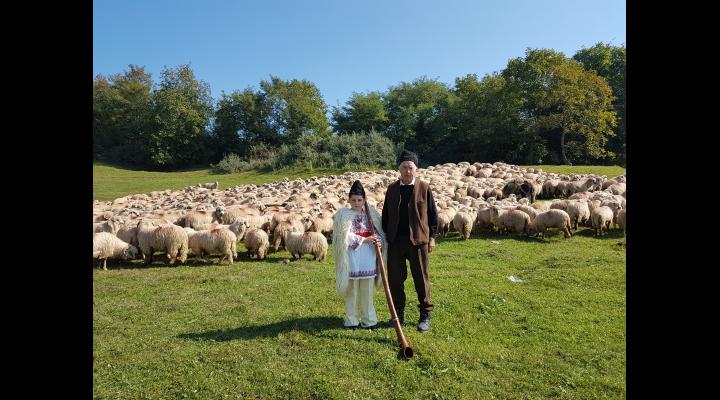 Un depozit de lână va functiona in Prahova, la Boldesti Scaieni.  Ajutorul de minimis este 1 leu pentru fiecare kilogram de lână comercializată