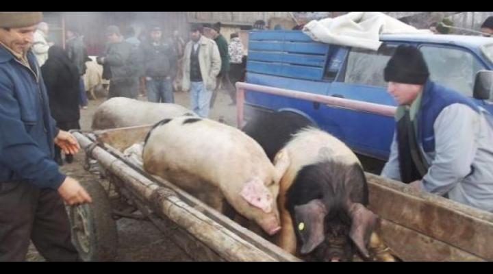 Targ de animale, inchis temporar in Prahova. S-a interzis si vanzarea animalelor vii in mai multe localitati
