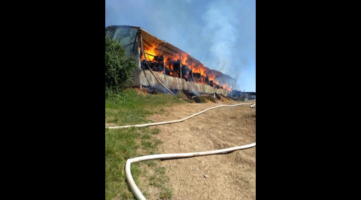 Incendiu violent in Ceptura la un adapost in care se aflau baloti de lucerna - VIDEO/FOTO