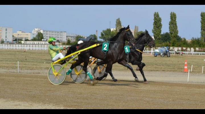 Show pe Hipodromul Ploiești: Derby-ul de Trap al României are loc duminică!