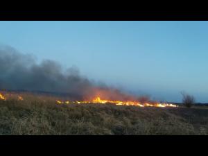 Casa mistuita de flacari in urma unui incendiu de vegetatie uscata, in Podenii Noi