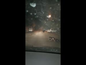 VIDEO - Urs alungat de jandarmi de pe străzile din Bușteni