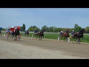 Patru curse de trap și una de galop, sâmbătă, pe Hipodromul Ploiești!