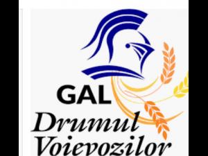 GAL Drumul Voievozilor: ANUNT PRIVIND PRELUNGIREA APELULUI DE SELECTIE NR. 1/2018 PENTRU MASURA M8/6B INVESTITII IN INFRASTRUCTURA SOCIALA SI INTEGRAREA MINORITATILOR