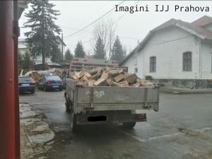 A transportat material lemnos, cel puțin de două ori, în baza aceluiași document de însoțire a materialului lemnos. A fost prins insa de jandarmi
