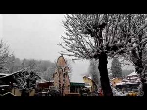 VIDEO Ninge la munte, în Prahova. 