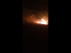Incendiu de vegetație uscată în Filipeștii de Pădure 