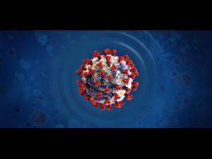 Doi medici si trei asistente din Prahova, infectati cu COVID-19. Parchetul de pe langa Judecatoria Campina a dispus in doua situatii inceperea urmarii penale in rem pentru zadarnicirea combaterii bolii 