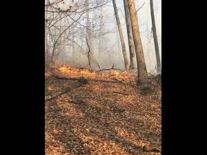 FOTO/VIDEO Incendiu de vegetatie uscata in Salcia intins pe zeci de hectare