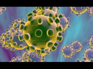 In Prahova au fost confirmate pana astazi, 7 aprilie, 36 de de cazuri de persoane infectate cu virusul COVID " 19 (coronavirus)