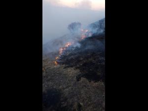 FOTO: Incendiu pe Muntele Steiasa din Valea Doftanei