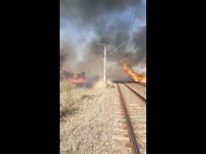 VIDEO Incendiu de vegetatie uscata langa calea ferata din Albesti Paleologu