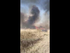 Weekend plin pentru pompierii prahoveni. Aproape 20 de incendii de vegetatie uscata au avut loc in Prahova. ISU face apel la cetateni sa evite astfel de situatii!