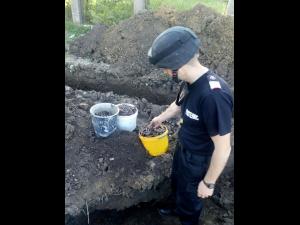 Ce a găsit un bărbat din Plopeni în timp ce săpa pentru amenajarea grădinii