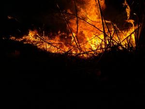 O locuință din Cornu a fost mistuită de flăcări din cauza igienizării terenului prin ardere. Nu a fost singurul incendiu de vegetatie uscata