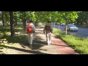 Continuă, la Ploiești, programul de spălare cu atomizoare în zona pietelor și stațiilor de transport public urban/Lista zonelor incluse