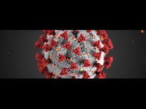 Încă un prahovean, diagnosticat cu coronavirus, a murit