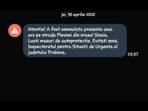 Localnicii din Sinaia, avertizați prin RO-Alert privind apariția unui urs
