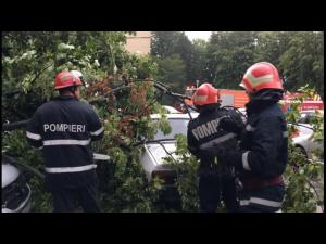 Vremea rea în Ploiești: copac căzut pe o mașină și un service inundat