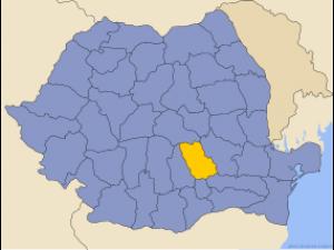 Analiza impactului Stării de Urgență asupra mediului de afaceri prahovean. Studiu realizat de CCI Prahova