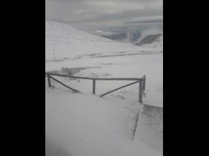 Viscol și zăpadă pe platoul Bucegilor/Ninge abundent și pe Transfagarasan