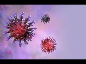 73 de prahoveni diagnosticați cu noul coronavirus pâna astăzi, dintre care 4 au decedat, 46 au fost declarați vindecați și externați, iar 23 se află internați
