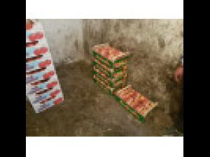 FOTO/VIDEO Grave abateri de la prevederile legale la pietele agroalimentare si operatorii economici din Ploiesti! Neregulile constatate de ANPC au dus la suspendarea activitatii unor unitati comerciale si inchiderea unui magazin de peste