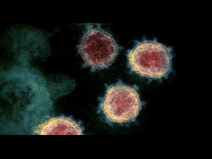 Cel de-al 5-lea deces din Prahova anuntat ca fiind cauzat de coronavirus a avut alta cauza de fapt. Precizarea DSP 