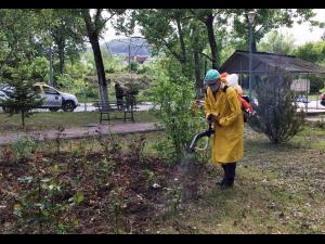 Alin Moldoveanu, primarul din Poiana Câmpina, anunță că de azi sunt deschise parcurile din localitate