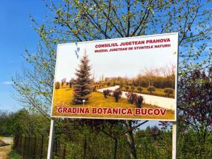 Grădina Botanică Bucov poate fi vizitată începând de astăzi FOTO